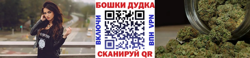 магазин продажи наркотиков  Кандалакша  Шишки марихуана MAZAR 